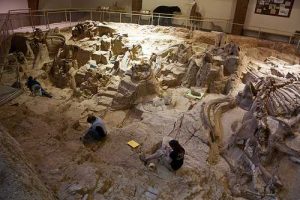 Mammoth Site Hot Springs South Dakota